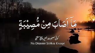 Read beautiful ayat of