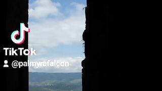 مدينة حماة