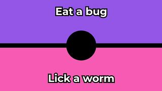 Would you rather - Eat a bug