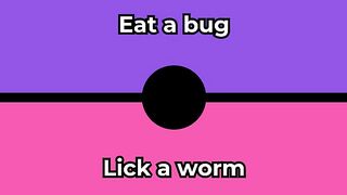Would you rather - Eat a bug