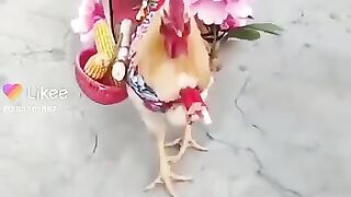 عروسة