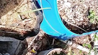 اج ہمارے پودوں کا اور زیادہ نقصان ہو گیا کون سا پھل ہے جو سب گر گیا