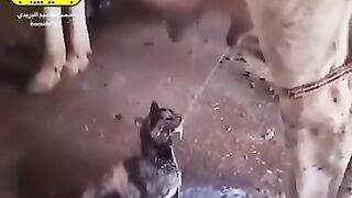 سبحان الله
