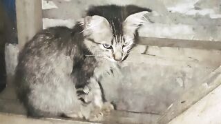 Sendiri lagi