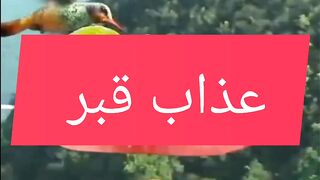 virl video Pakistan