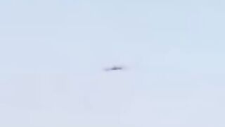 Very funny video ???????????? amazing