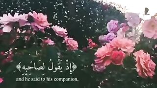 القران الكريم#سكينة
