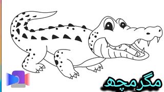 Coloring Book for Kids