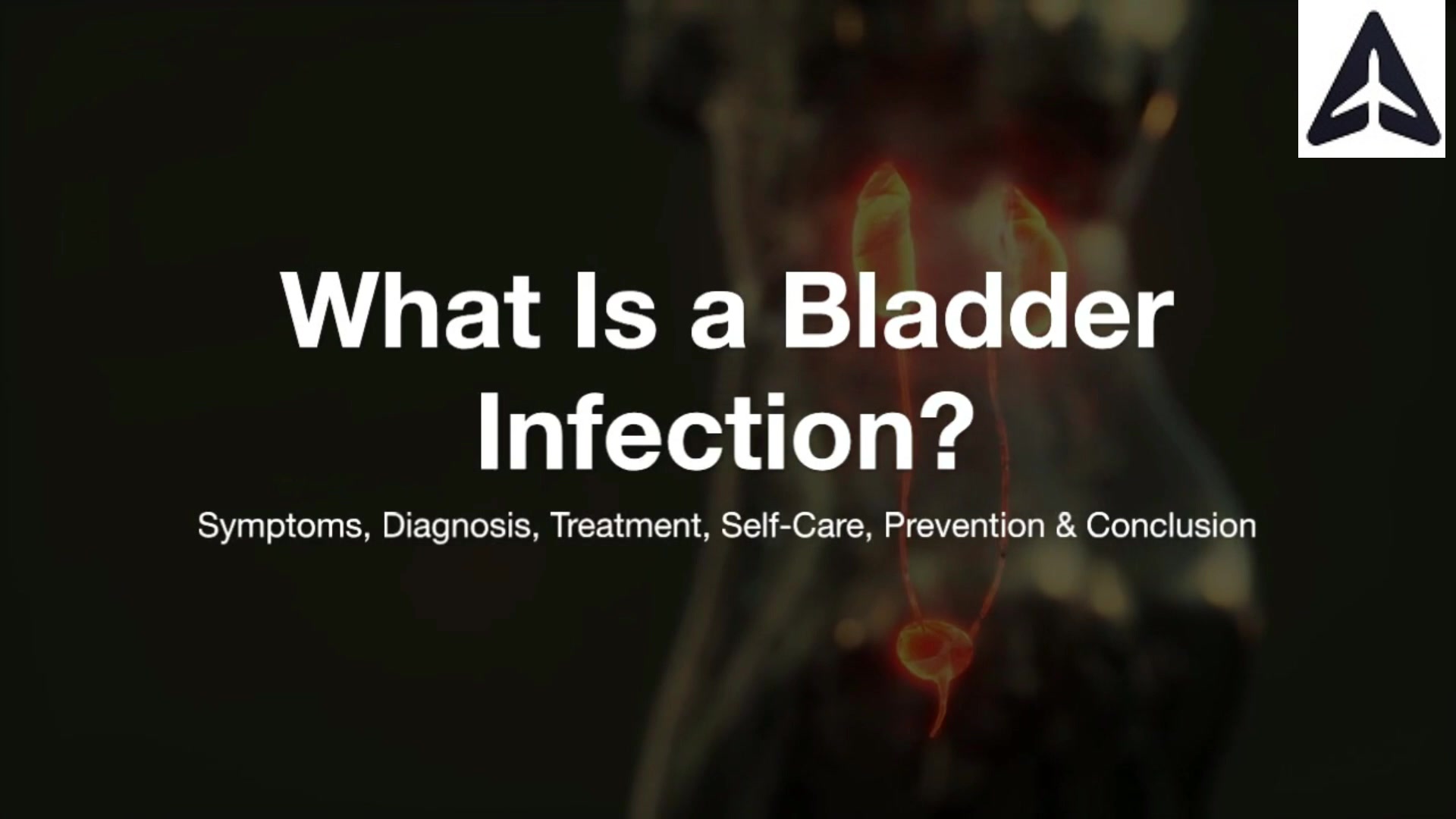 What Is a Bladder Infection