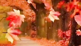 status,status video,status song,status whatsap,beast song,good song,video,songs