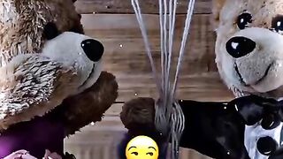 status,status video,status song,status whatsap,beast song,good song,video,songs