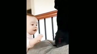 Funny_video