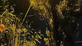 status,status video,status song,status whatsap,beast song,good song,video,songs