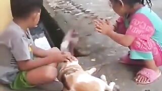 Nasib malang adek Q