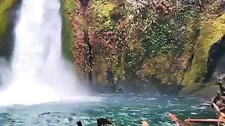 status,status video,status song,status whatsap,beast song,good song,video,songs