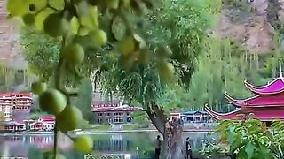 status,status video,status song,status whatsap,beast song,good song,video,songs