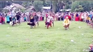 Lomba pembuktian cinta yg sejati