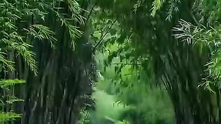 status,status video,status song,status whatsap,beast song,good song,video,songs