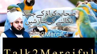 صحابہ کرام رضی اللّٰہ تعالی عنہ کے جسد نکالنے کی سازشیں