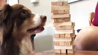 Incredible Things Caught on Camera