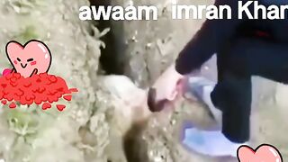 New funny scene 2024