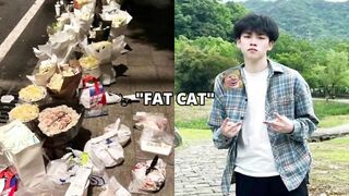 The most viral videos on YouTube " Fac Cat"
