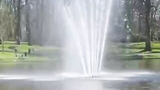 status,status video,status song,status whatsap,beast song,good song,video,natural