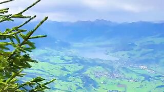 status,status video,status song,status whatsap,beast song,good song,video,natural