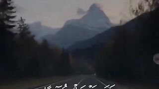 القرآن العظيم #سكينة