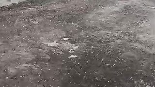 Rain and Sleet