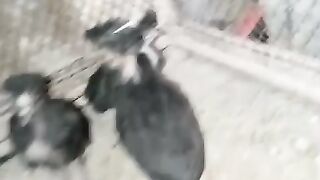 Allah ki raah may kharch karna