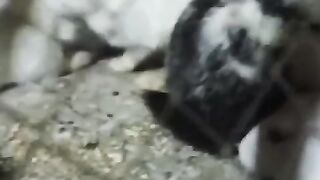 Gjkkgffff