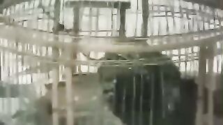 Ghjkkfcfc
