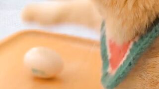 That is hidden real Power of Catzilla ???? . . .