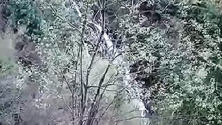 Beautifull jared kaghan