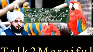 ربﷻ فرمائے گا بندے سے  میں تیرے پڑوس میں بھوکا تھا  تونے مجھے روٹی نہیں کھلائ