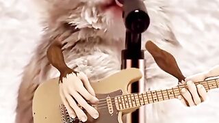 New song