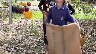 Catching durian with accuracy