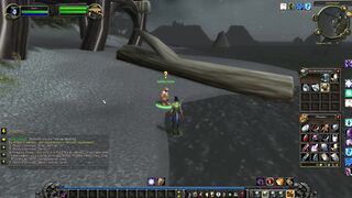 WOW Прокачал удочку в Аубердине, Калимдор. World of Warcraft