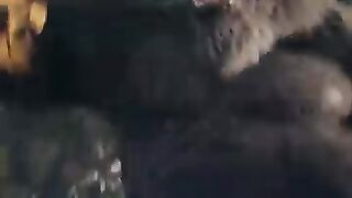 Godzilla x Kong: Kekaisaran Baru 2024