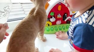 Baby and Cat | How To Find Short Videos | #shortsfeed # Shorts