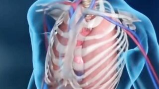 Your health | check your lungs