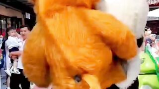 bales- balesan :) :) #funnyvideo #funnypanda