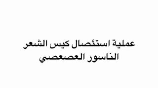 كيس الشعر