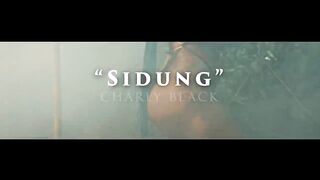 Charly Black - Sidung (Official Music Video)(720P_HD).