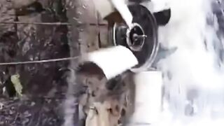 Free energy