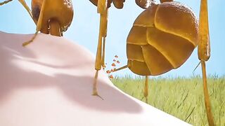 معلومات كوكتيل ٢٠ كيف يهاجم النمل اعداؤه