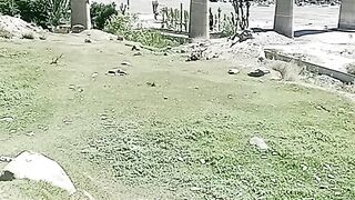 Broken bridge Gilgit