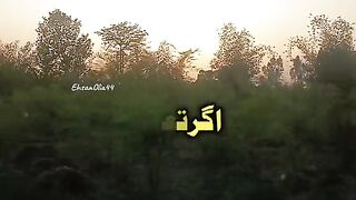 Agar taluk rooh se hon to Dil bhara nhe karte