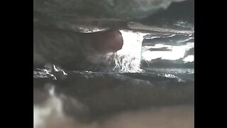 دینہ کے نواحی علاقہ رحمانہ آباد سیدحسین میں دو دیواروں کے درمیان بلی کا بچہ